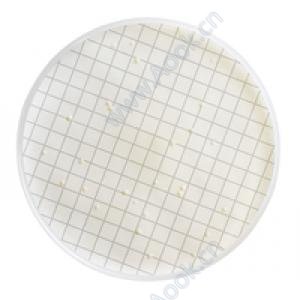 R2A Agar agar カセット 48/箱 [MXSMCRA48]