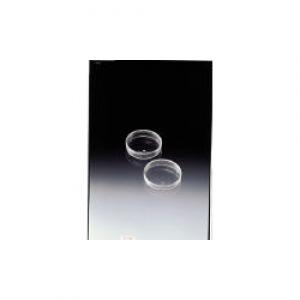 サンプラ　ＴＰＸシャーレ　９０ｍｍ×２０ｍｍ　１０個入 2361E
