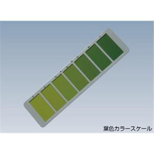 葉色カラースケール CF306/KN3318945