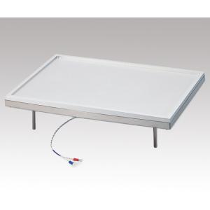 耐溶剤ホットプレート　ＴＳ−４０３０ [2-7922-01]