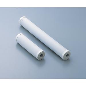 純水装置用活性炭フィルターＣ１０ＳＮＯＮ [1-7669-24]