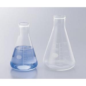 三角フラスコ　３０００ｍｌ　シバタ [6-017-08]