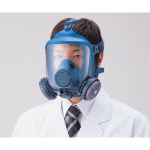 交換用フィルター　ＲＤ−５　２個１組 [1-9471-11]