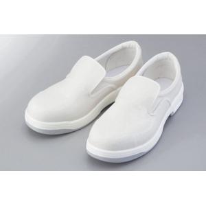 防静电鞋Ⅱアズピュア静電安全シューズⅡSHOES FOR CR