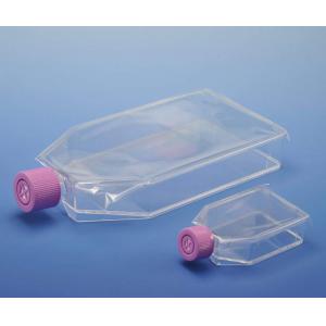 ＥＺ－Ｏｐｅｎ Ｔｏｐ ＦＬＡＳＫ |||３１７３－０２５　２０入  