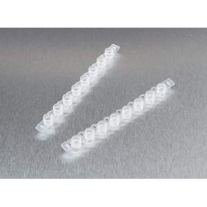 ＰＣＲ８連キャップ　フラット |||１４－２３０－２３０　２５０入  