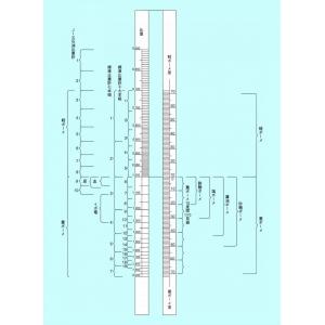 スポイト付　電池計 |||  